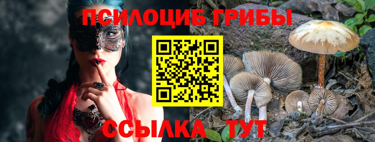 Псилоцибиновые грибы Cubensis Родники
