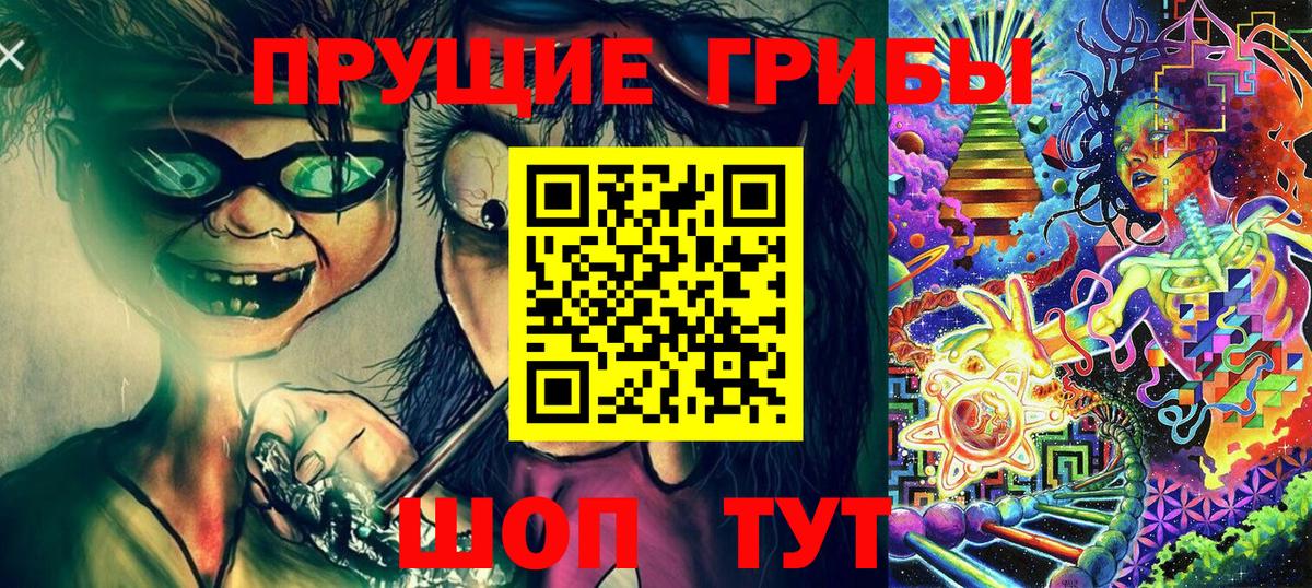 Псилоцибиновые грибы Psilocybine cubensis  купить  цена  Родники  Вход с VPN  Псилоцибиновые грибы Cubensis 